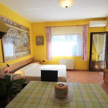 Apartments Daniela Новиград Стая снимка